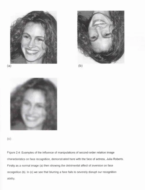 Figure 2.4: Examples of the influence of manipulations of second-order relation image 