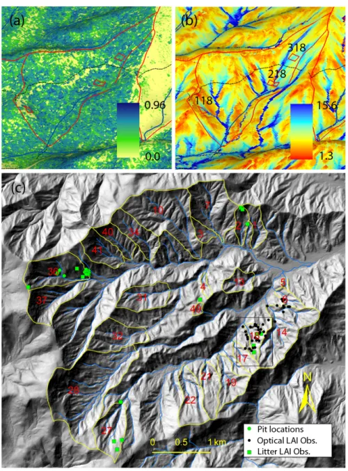 Figure 2.3: Study site (WS18); (a) NDVI (normalized difference vegetation index)  from a June 1, 2003 IKONOS image, (b) wetness index, and (c) locations for WS18  (square), LAI (leaf area index) measurements, and soil pits within the Coweeta LTER  site