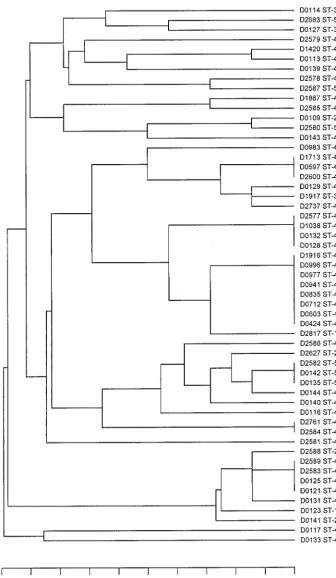 FIG. 1. UPGMA clustering of MLST data for 55 isolates of C. jejuni.