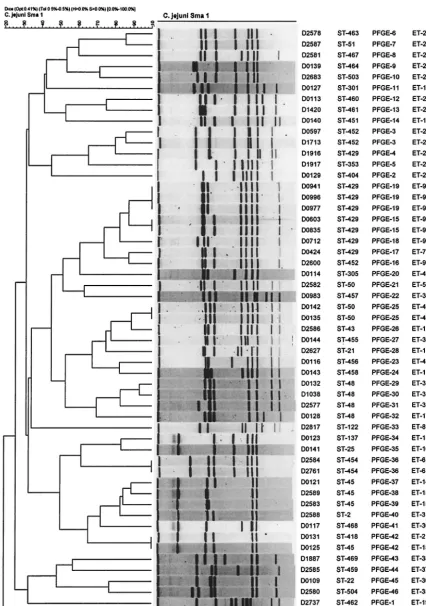 FIG. 2. Clustering of 55 C. jejuni isolates grouped by UPGMA clustering of PFGE proﬁles.