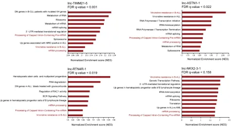 Figure 3: Attributing functional annotation to ETV6/RUNX1 specific lncRNAs through guilt-by-association analysis