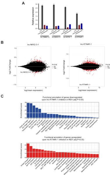 Figure 4: Transcriptional consequences of lncRNA modulation in the context of ETV6/RUNX1 rearranged leukemia cases