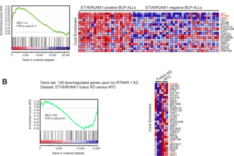 Figure 5: Integration of transcriptional consequences of lncRTN4R-1 modulation with ETV6/RUNX1 specific mRNA signatures in primary B-ALLs and REH cells