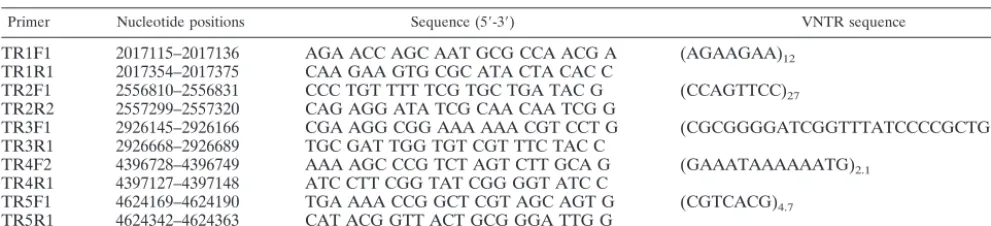 TABLE 3. PCR primers ﬂanking the ﬁve VNTR loci selected from the S. enterica serovar Typhi CT18 genome