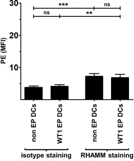 Figure 5: Stimulation of RHAMM R3-specific T cells by AML patient DCs. The RHAMM R3-specific cytotoxic CD8+ T cell clone was stimulated for 24 hours without DCs (medium control) or with WT1 EP DCs from HLA-A*0201- (n = 2) or A*0201+ (n = 3) donors