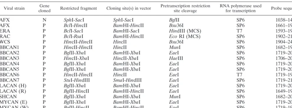 TABLE 2. Details of construction of rabies virus clones used during these studies