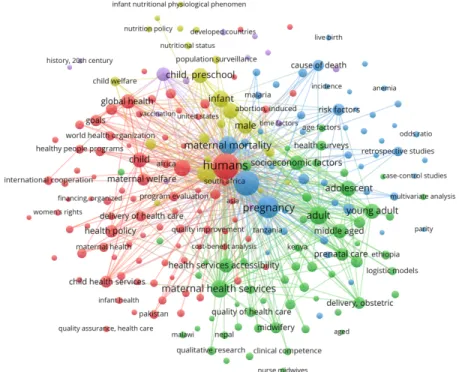 Figure 5: Map of MeSH terms associated with publications in dataset (n=226) 