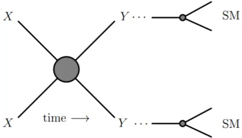 Figure 2: A diagram of hidden sector interactions. The stable X annihilates into the unstable Y , which then couples to the Standard Model