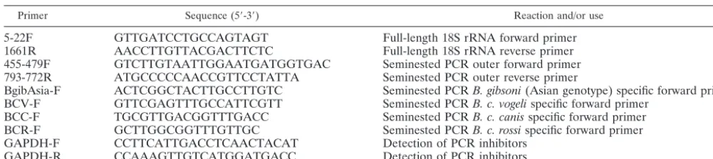 TABLE 1. Sequences for the oligonucleotide primers used in this study