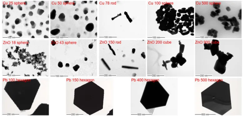 Fig. 1. Transmission electron microscopic images of ENMs and SMPs in the exposure medium.