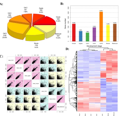 Figure 1: The activation waves of bovine embryo preimplantation development. A and B. The number and proportion of genome activation for different developed stages