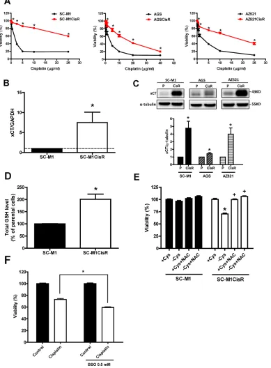 Figure 1: Cisplatin-resistant gastric cancer cells have high xCT expression and rely on environmental cystine for cell survival