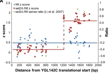 Figure 2-1. Detection of cryptic initiation sites in S. cerevisiae strains lacking Set2  (A) YGL142C exhibits cryptic initiation in the set2∆ strain (red, supF 29.7), but not  wild-type (blue)