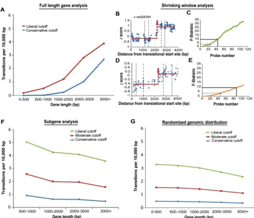 Figure  2-2.  Cryptic  initiation  events  occur  without  regard  to  gene  length. 