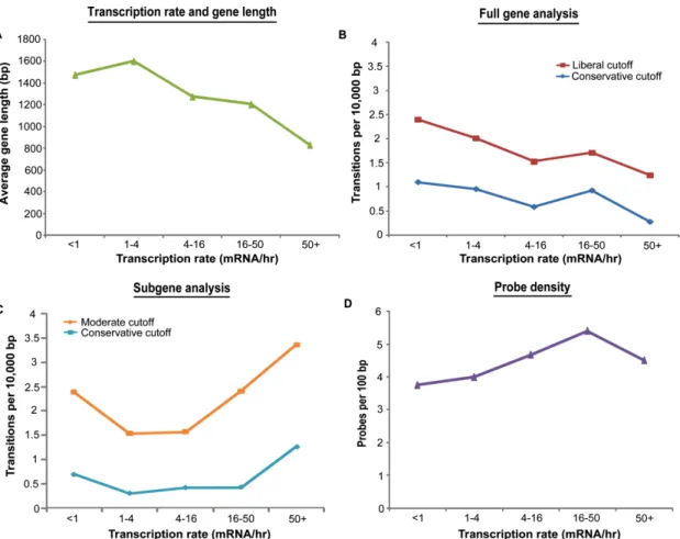 Figure  2-3.  Cryptic  initiation  events  occur  without  regard  to  transcriptional  frequency