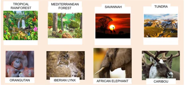 Figure 3. Endangered species and the ecosystem where these species live  