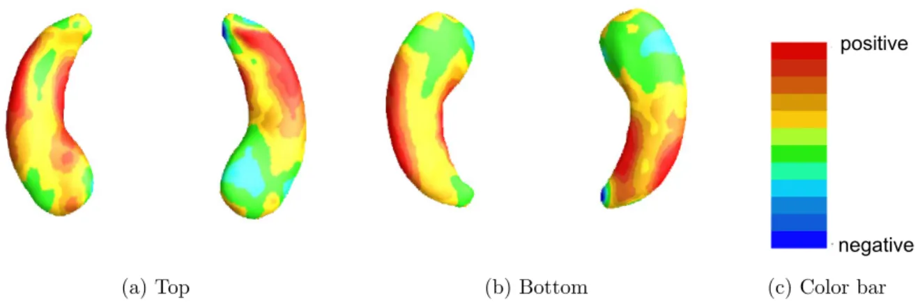 Figure 3.2: ADNI data analysis results for the full BFLCRM model: panels (a) and (b), respectively, show the top and bottom views of the estimated coefficient function associated with the hippocampal surface data color-coded by the colorbar in panel (c).