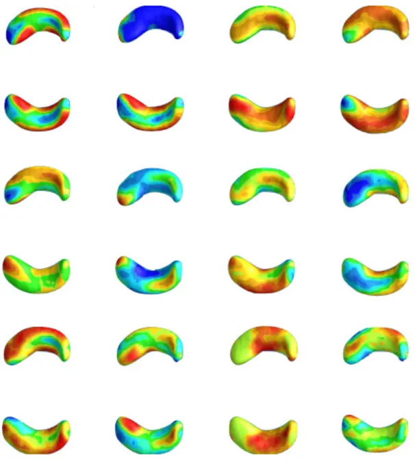 Figure 3.8: ADNI data analysis results: the first 12 largest estimated eigenfunctions pro- pro-jected on the hippocampal surface