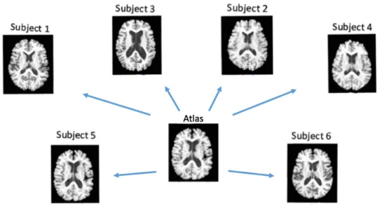 Figure 1.2: Example of atlas image and the corresponding subject images.