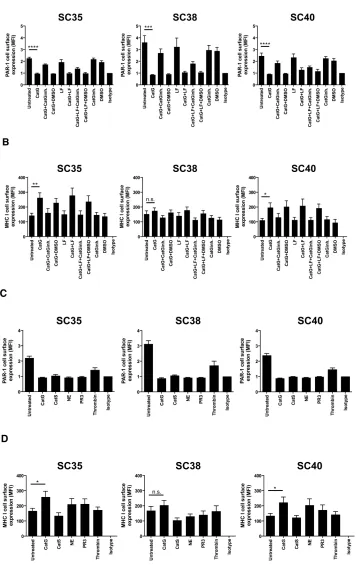 Figure 3: CatG induced cell surface expression of MHC I in spheres-cultured stem cell-enriched glioblastoma cell population (SC)