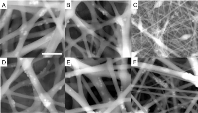 Figure  3.2.  Environmental  scanning  electron  microscope  images  of  polyurethane  electrospun  fibers  composed  of  5  wt%  N-diazeniumdiolated-AEAP3/TMOS  nanoparticle-doped  8%  (w/v)  (A)  Tecophilic,  (B)  Tecoflex,  and  (C)  Tecoplast;  and  12