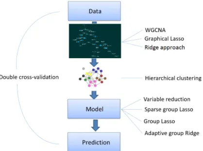 Fig 1. Method summary. Step 1: Networks of features are derived from the data. Step 2: Using hierarchical clustering, modules of features are identified