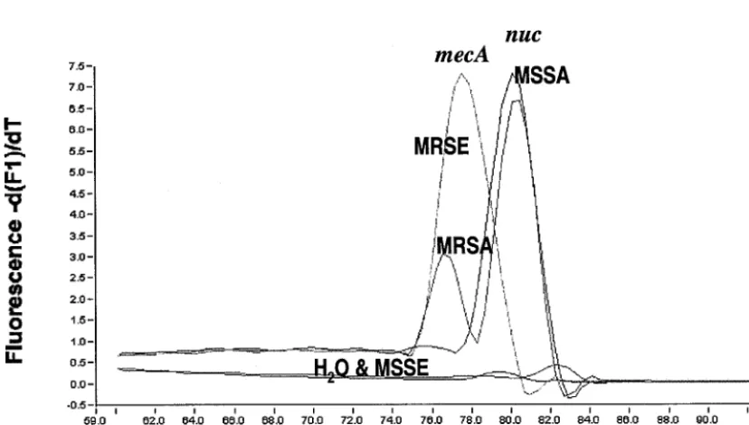 FIG. 3. Sensitivity of the real-time PCR assay for detection of the nuc gene from the overnight-cultured broth.
