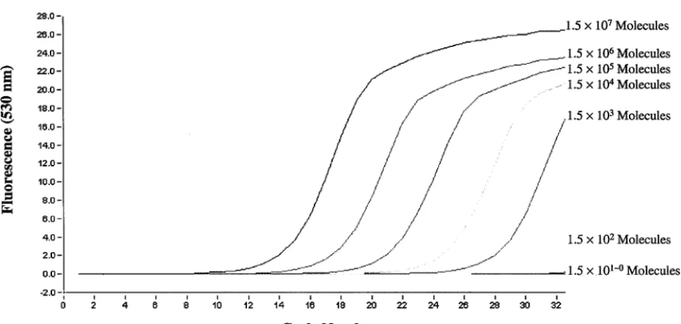 FIG. 5. Sensitivity of the mecA and nuc duplex real-time PCR assay, determined through serial dilutions of the template DNA extracted fromMRSA strain CCUG 31966.
