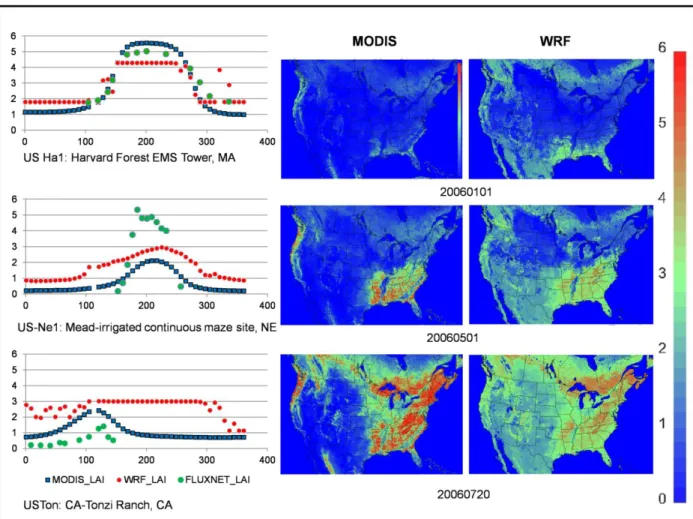 Figure 2.1.  PX LSM WRF, MODIS, and FLUNXET LAI comparisons.  The LAI graphs on the  left have LAI on the vertical axis and day of year with 1 for Jan