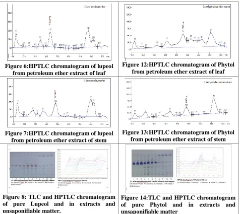 Figure 12:HPTLC chromatogram of Phytol  from petroleum ether extract of leaf 