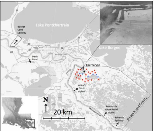 Figure 2. The Breton Sound estuary. Dots indicate where core samples were taken and the  approximate area of the crevasse splay deposit based on our measurements