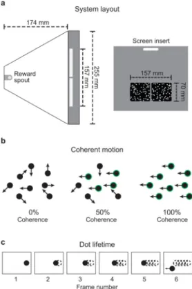 Figure 1. System layout and random dot kinematogram (RDK) visual stimuli