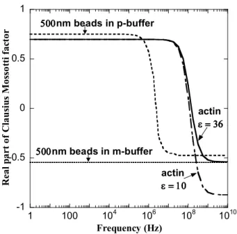 Figure  2.1.  Plot  of  real  part  of  Clausius-Mossotti  factor  versus  frequency  for  actin  in  M- M-buffer and 500 nm beads in P-M-buffer and M-M-buffer