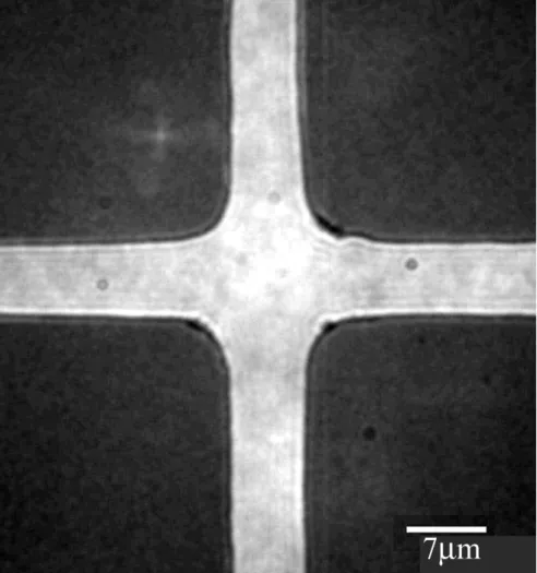 Figure  2.3.  Bright  field  transmission  micrograph  of  quadrupole  electrodes  fabricated  on  glass  (100x  objective)