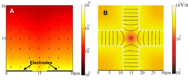 Figure 2.4. A. The simulated electric field square gradient (, force) in V 2 /m 3  in YZ plane at  the edge of the electrodes