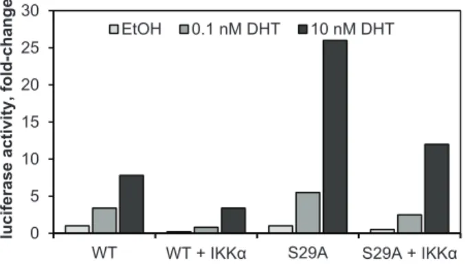 Figure 2.8. AR S29A is refractory to inhibition by IKKα.