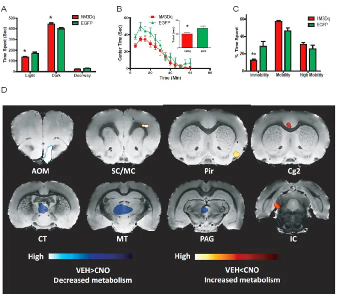 Figure 5. Acute stimulation of DRN serotonergic neurons induces anxiogenic- and  antidepressant-like behavioral responses as well as modulation of neuronal circuits 