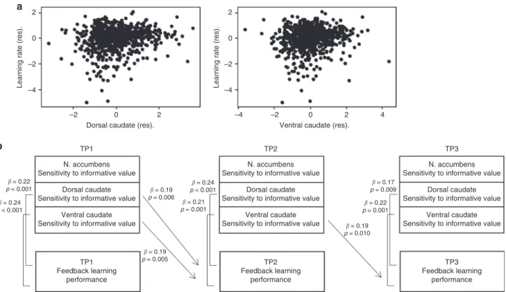 Fig. 3 The relation between striatal activity and learning performance. a Scatterplot of the relation between learning performance and sensitivity to informative value in dorsal caudate ( B = 0.51, p = 0.002) and ventral caudate (B = 0.44, p = 0.007) (N = 