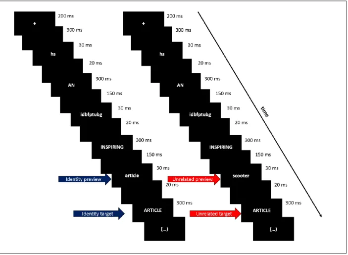 Figure 1- Experiment 1 Excerpt from a Sentence Reading trial.  