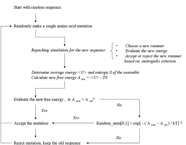 Figure 2.1  Algorithm for incorporating side chain entropy and free energy into Rosetta 