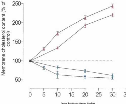 Figure 3.1 Alteration of membrane cholesterol by methyl-P-cyclodextrin in acutelywith 5 and lOmM methyl-p-cyclodextrin (depletion) or 0.15 and 0.3mM cholesterol31 "C for 5-30 minutes (n=3-6)