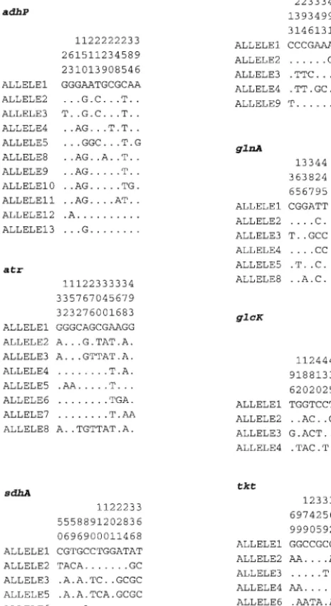 FIG. 1. Polymorphic nucleotide sites in GBS MLST genes. Onlythe variable sites are shown