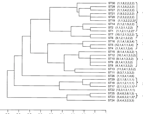 FIG. 2. UPGMA dendrogram showing genetic relationships between the 29 STs. The allelic proﬁle of each ST is shown in parentheses