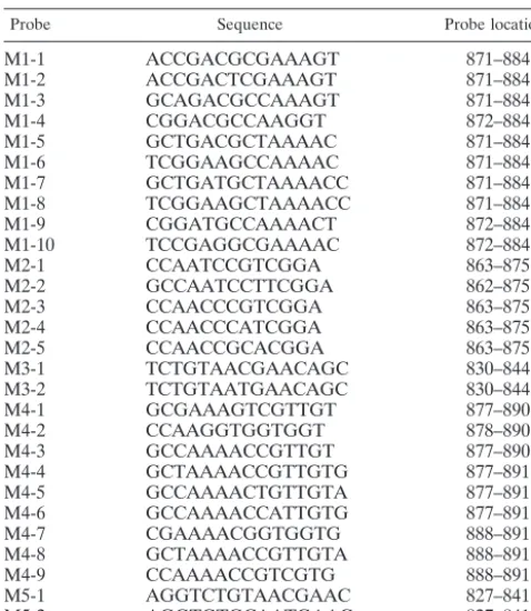 TABLE 1. Mycobacteria-speciﬁc probes