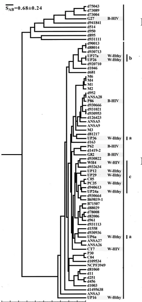 FIG. 3. Mixed dendrogram of the 15 C. dubliniensisSouth Africa and 57 isolates collected worldwide and used in theoriginal characterization of Cd25 (11)