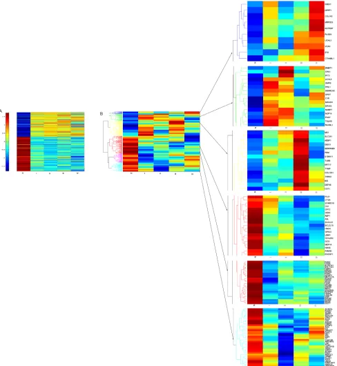 Figure 2: Hierarchical clustering of the 245 proteins/genes expressed significantly different between CRC and normal mucosa