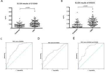 Table 4: Relative protein abundance of western blot analysis