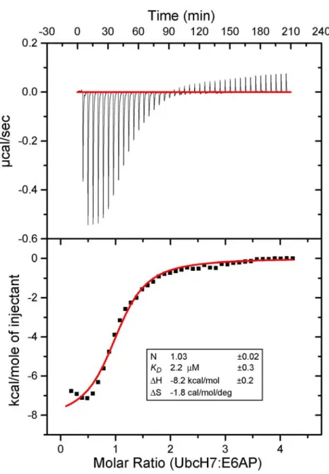 Figure 2.8. Isothermal titration calorimetry of unmodified UbcH7 with E6AP. 