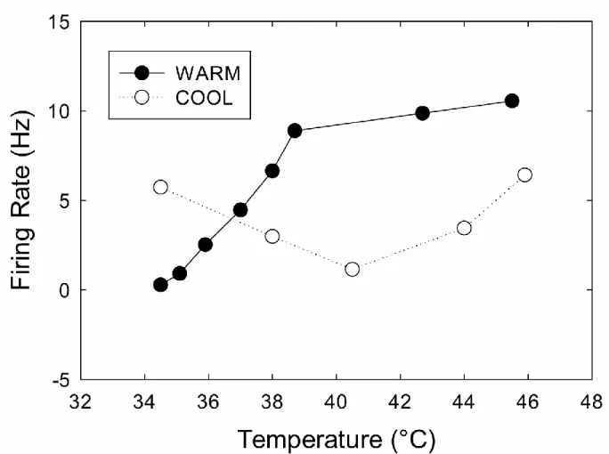 Figure 1.6 Response properties of WARM and COOL neurons to skin heating. This includes  the  inhibition  of  COOL  firing  in  response  to  warming  and  their  paradoxical  response  to  noxious heat