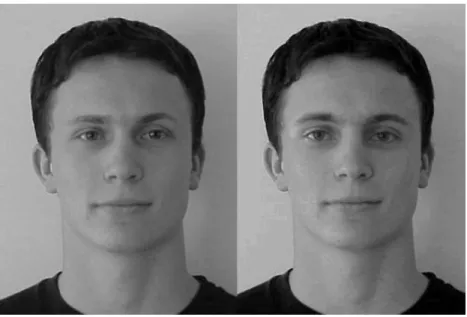 Figure 1. An example for the whole and part condition (eye feature). 